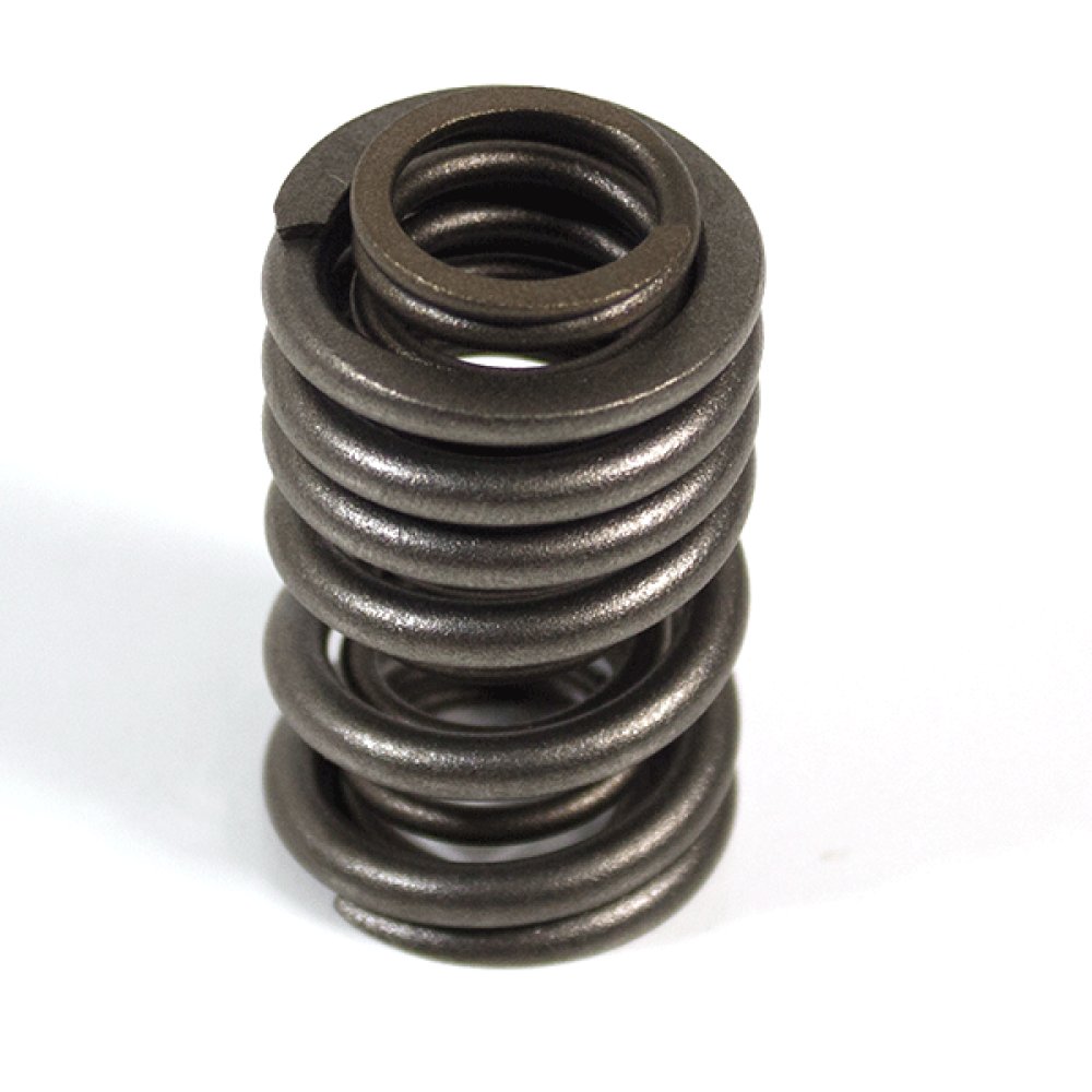 Valve Spring 2
