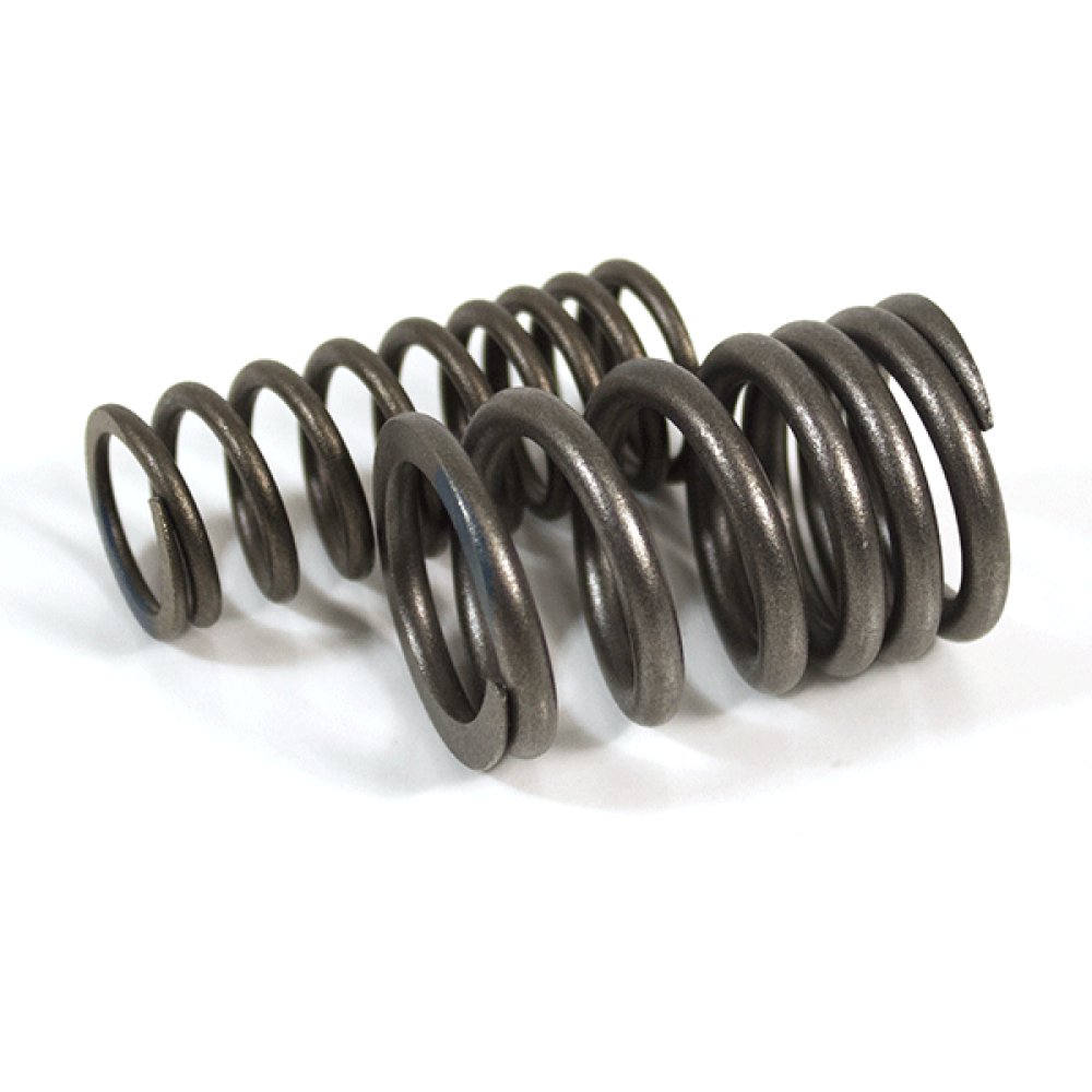 Valve Spring 3