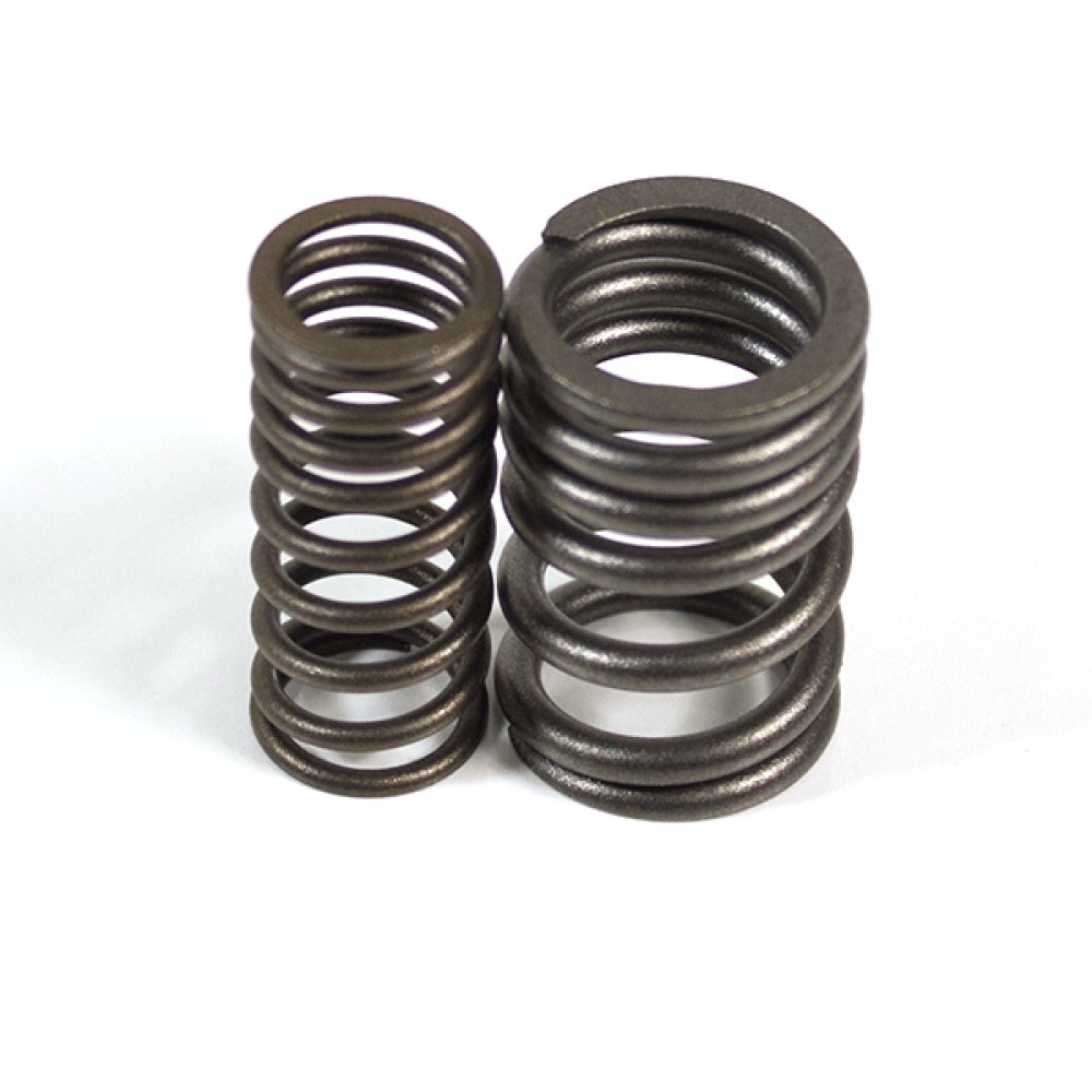 Valve Spring