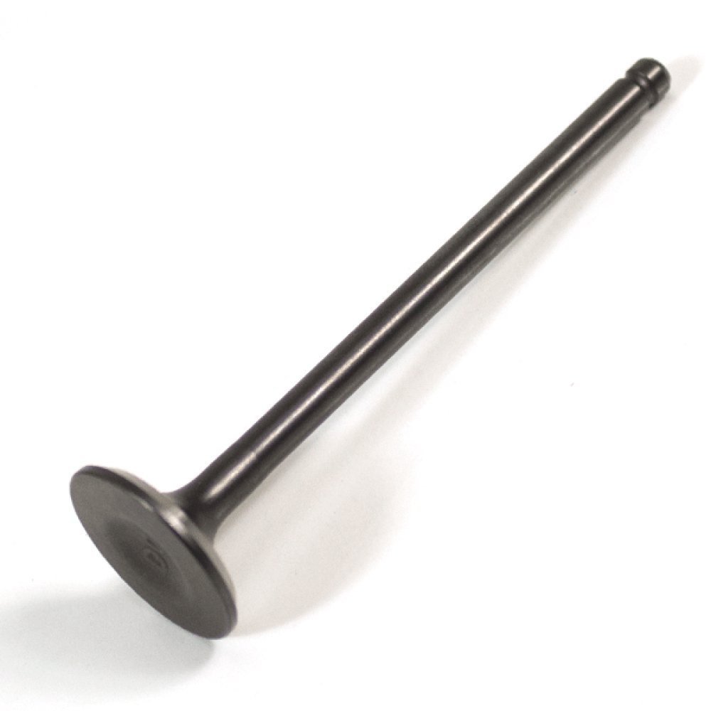 Exhaust Valve