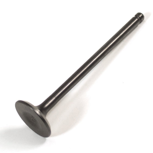 Exhaust Valve