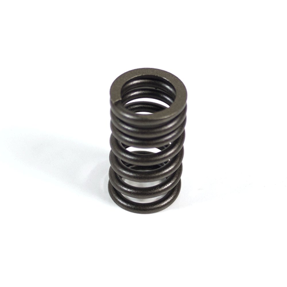 Valve Spring