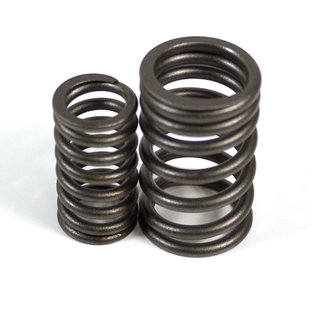 Valve Spring