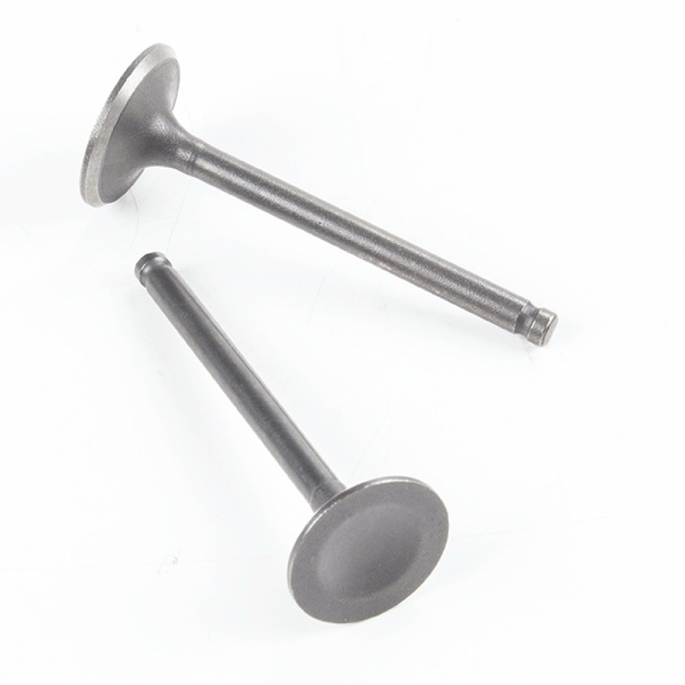 Inlet and Exhaust Valve