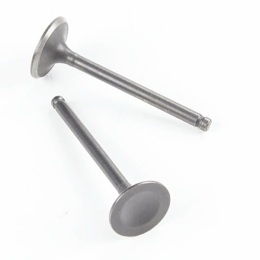 Inlet and Exhaust Valve