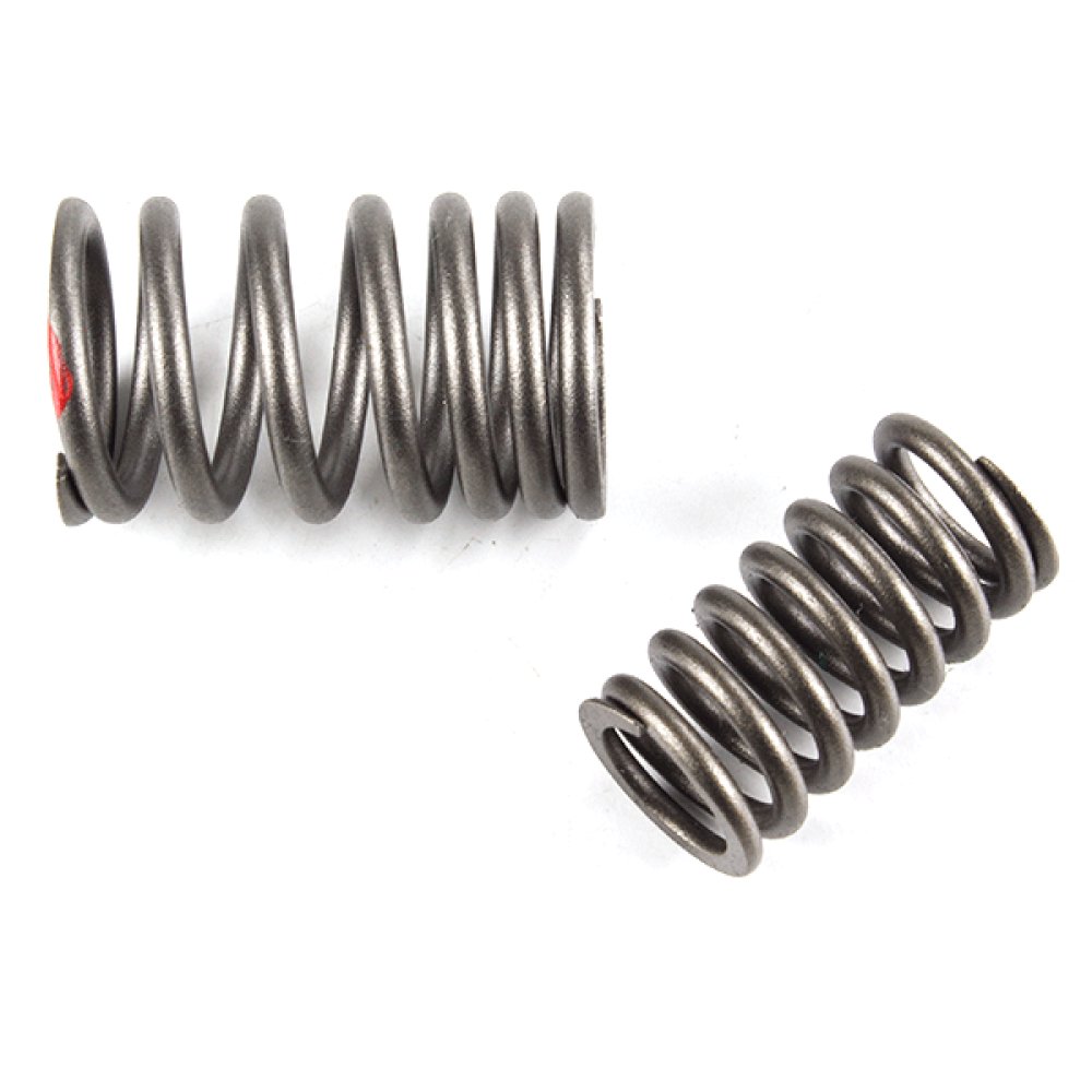Valve Spring