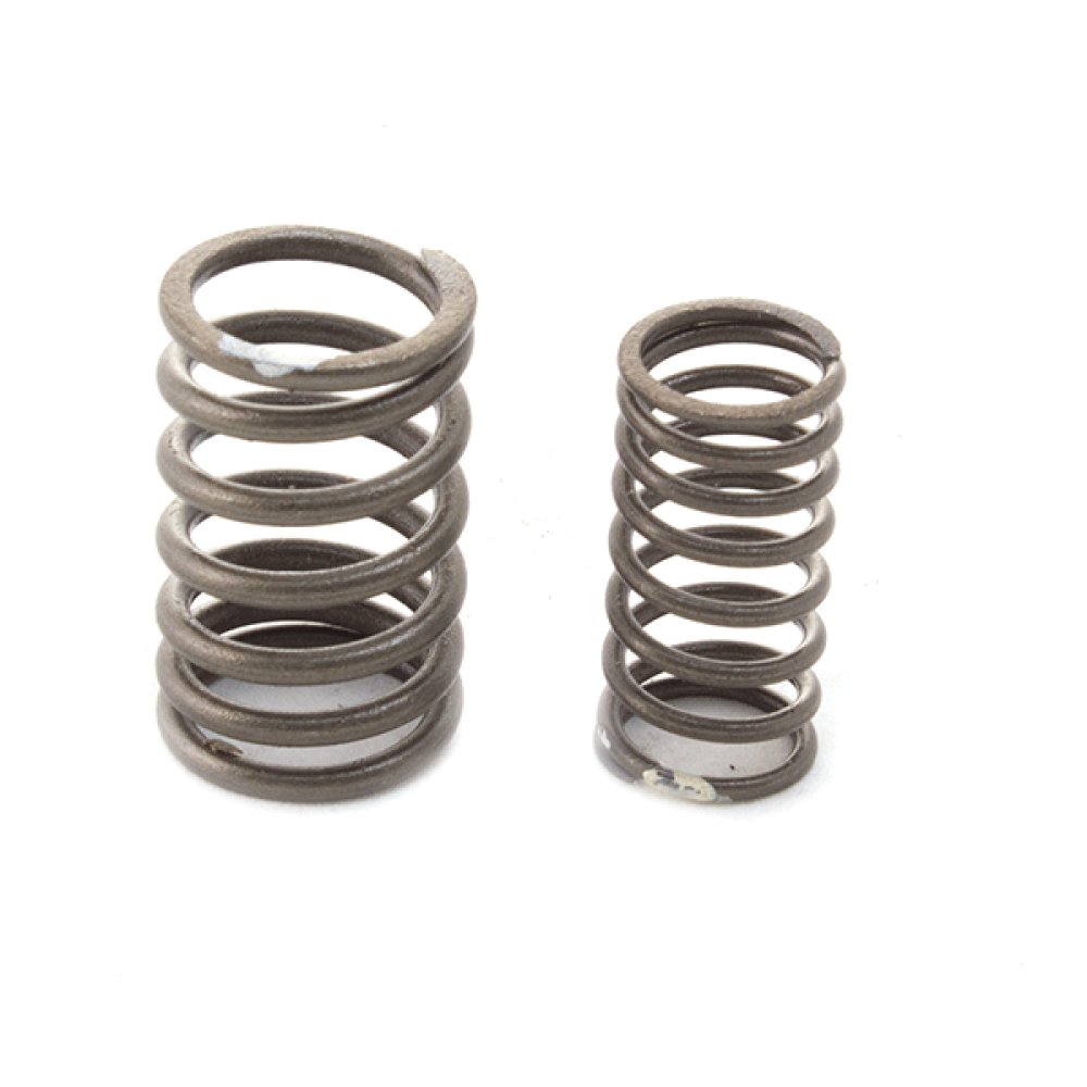 Valve Spring