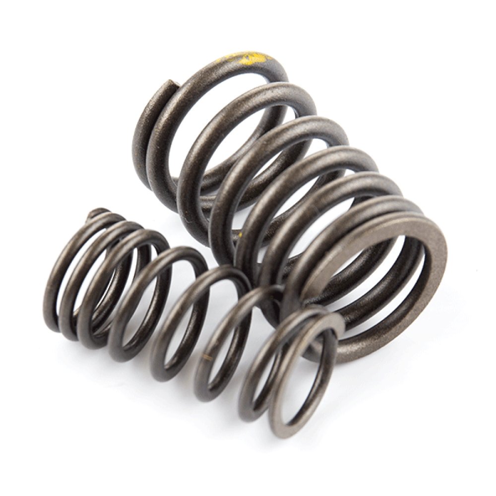 Valve Spring