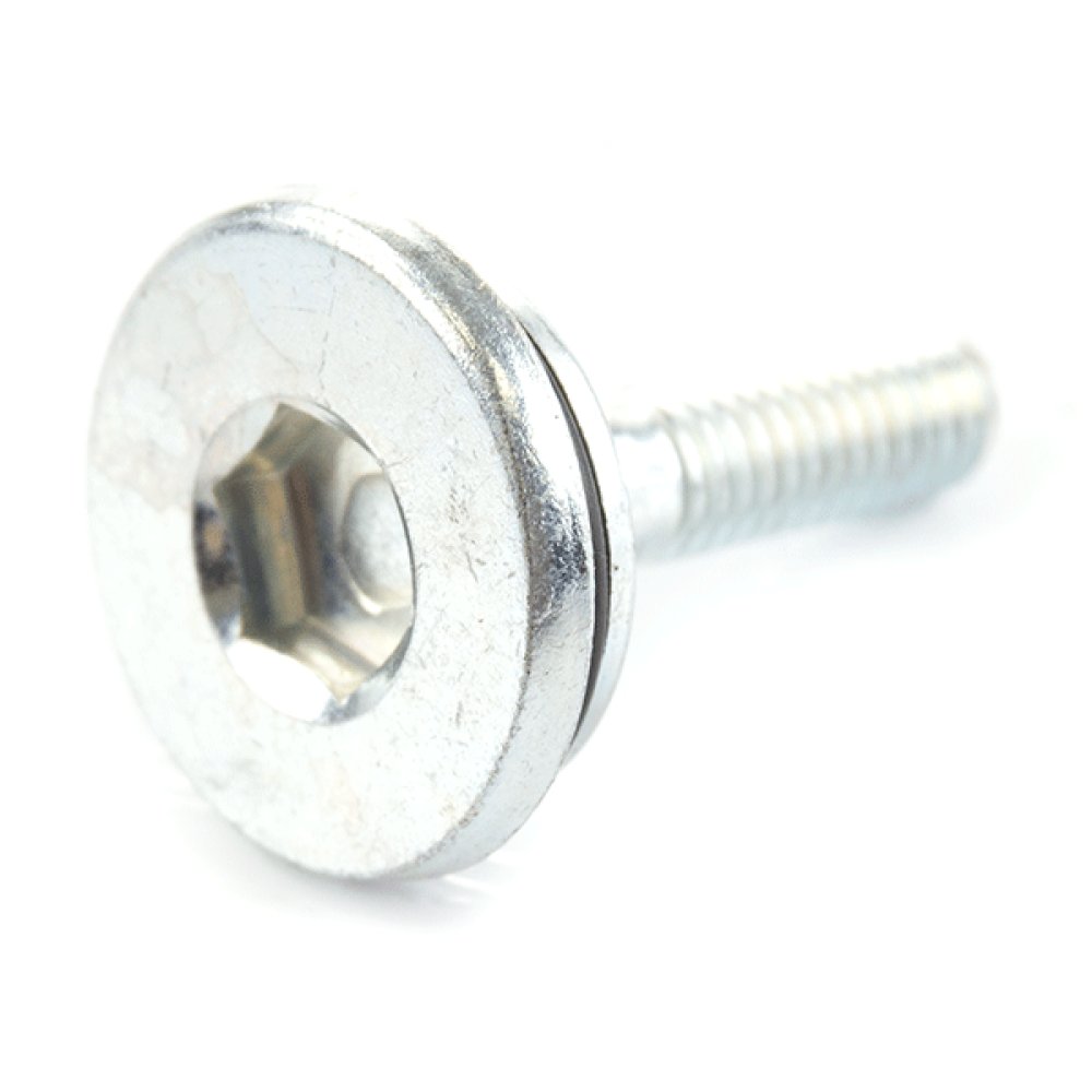 Cam Chain Tensioner Bolt
