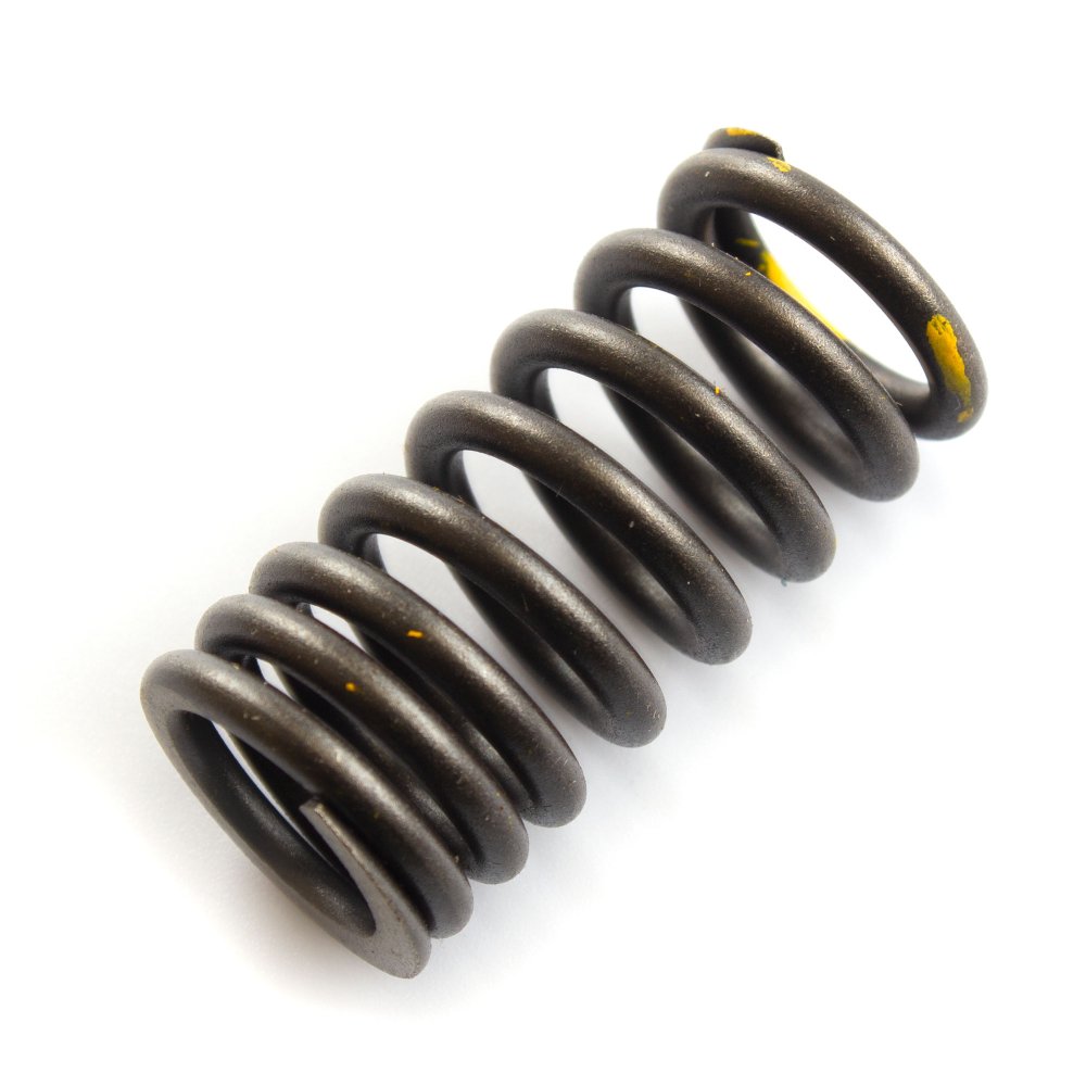Valve Spring (Each)