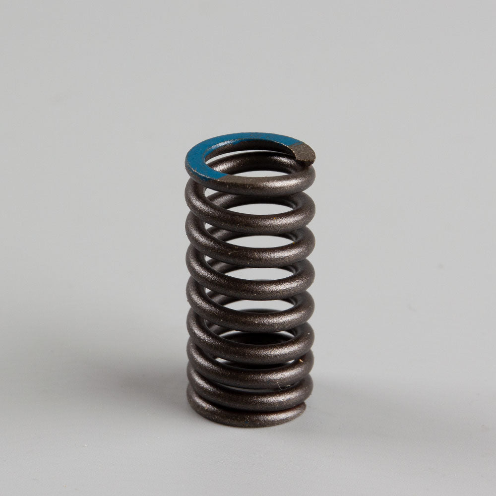Valve Spring