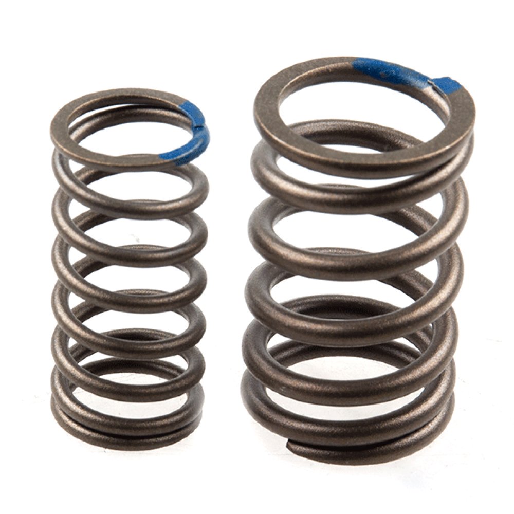 Inlet/Exhaust Valve Spring