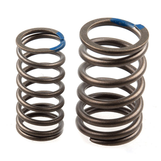 Inlet/Exhaust Valve Spring