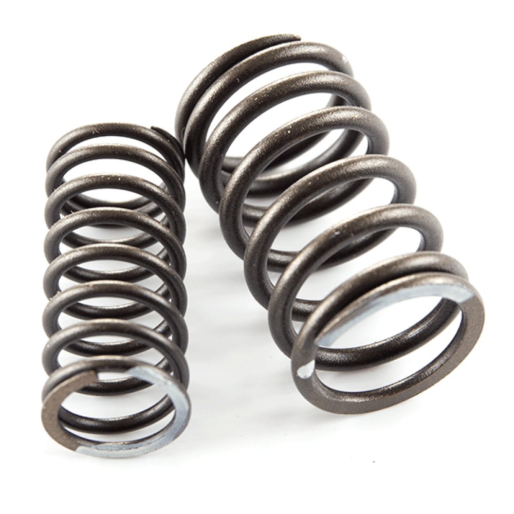 Valve Spring