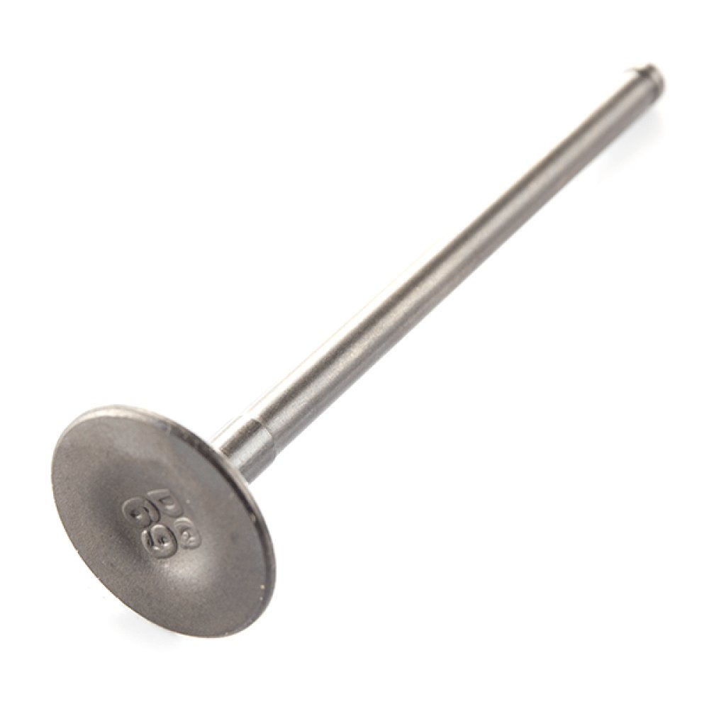 Exhaust Valve