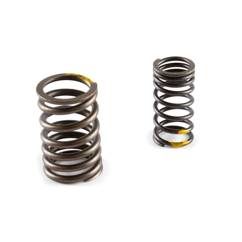 Valve Spring