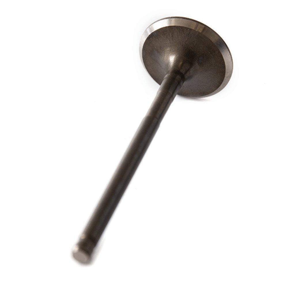Inlet Valve