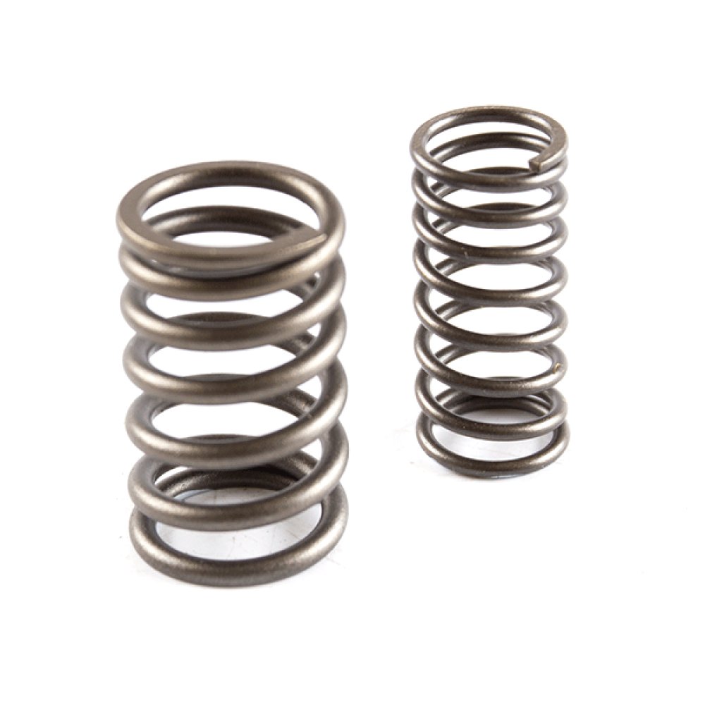 Valve Spring