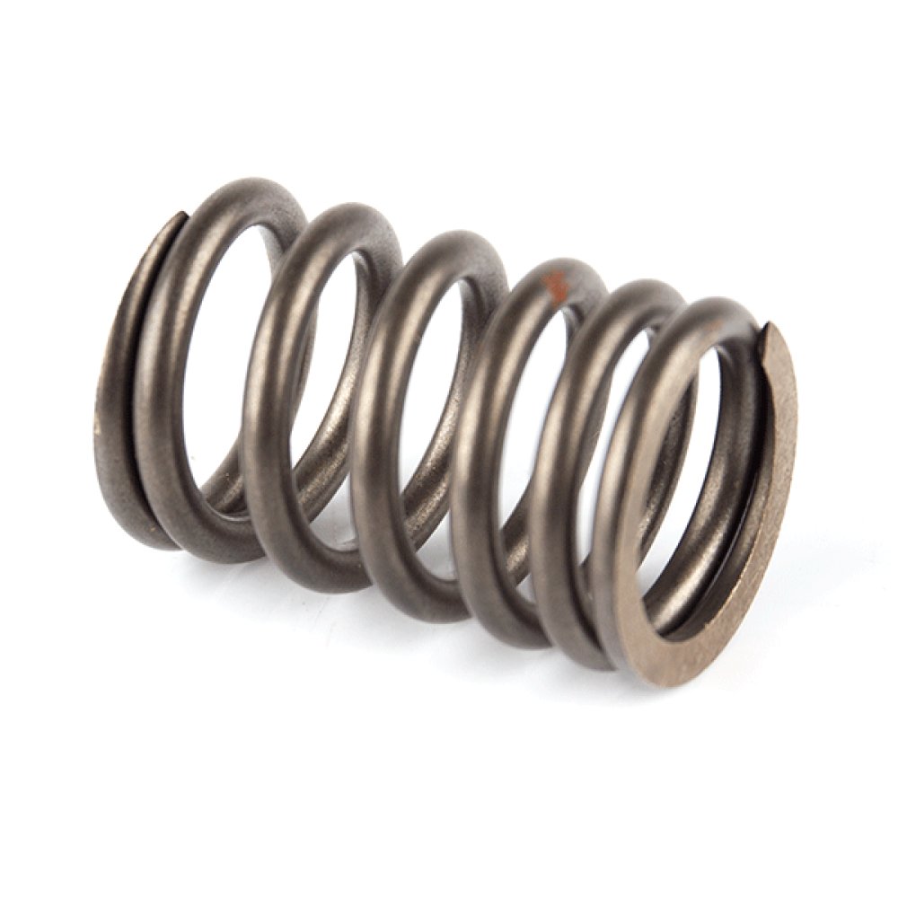 Valve Spring