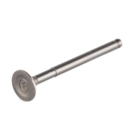 Exhaust Valve