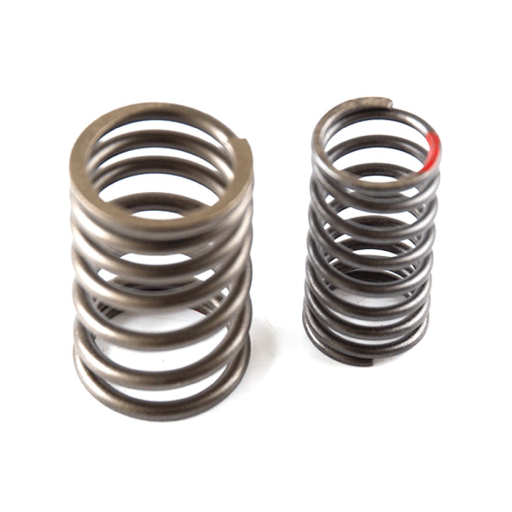 Valve Spring