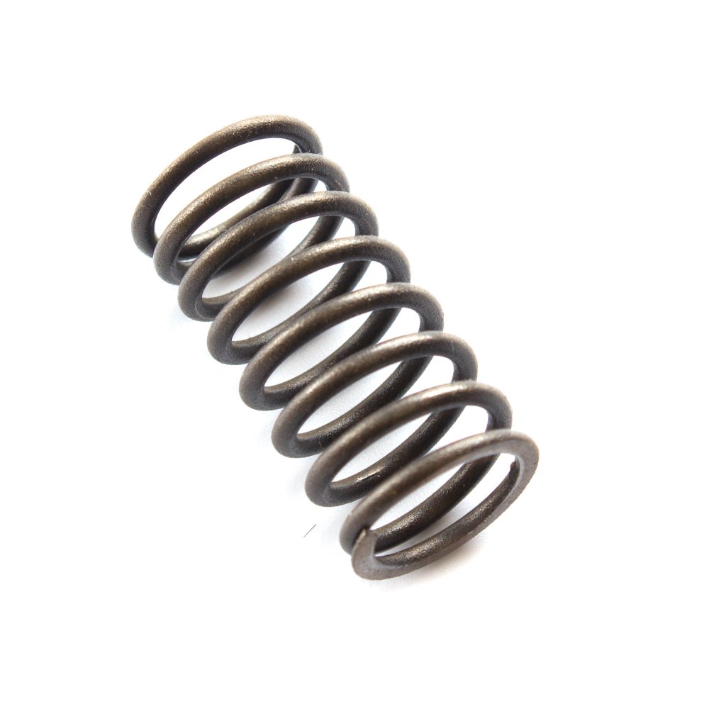 Valve Spring - Inner