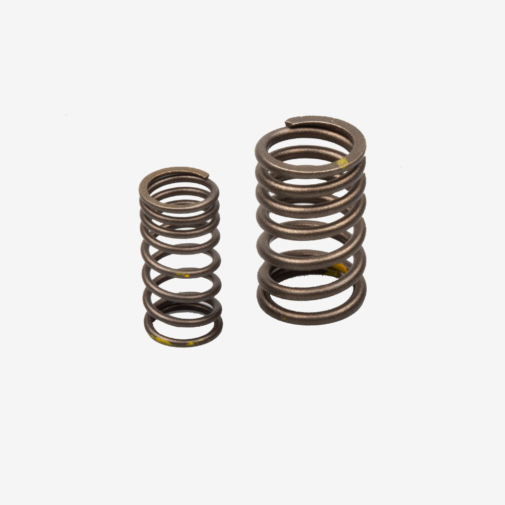 Valve Springs