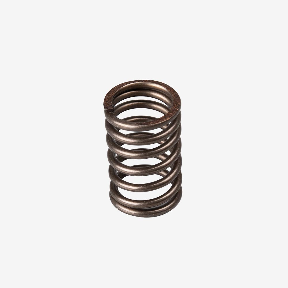 Valve Spring Outer