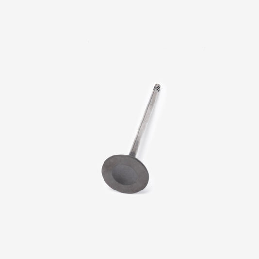 Exhaust Valve