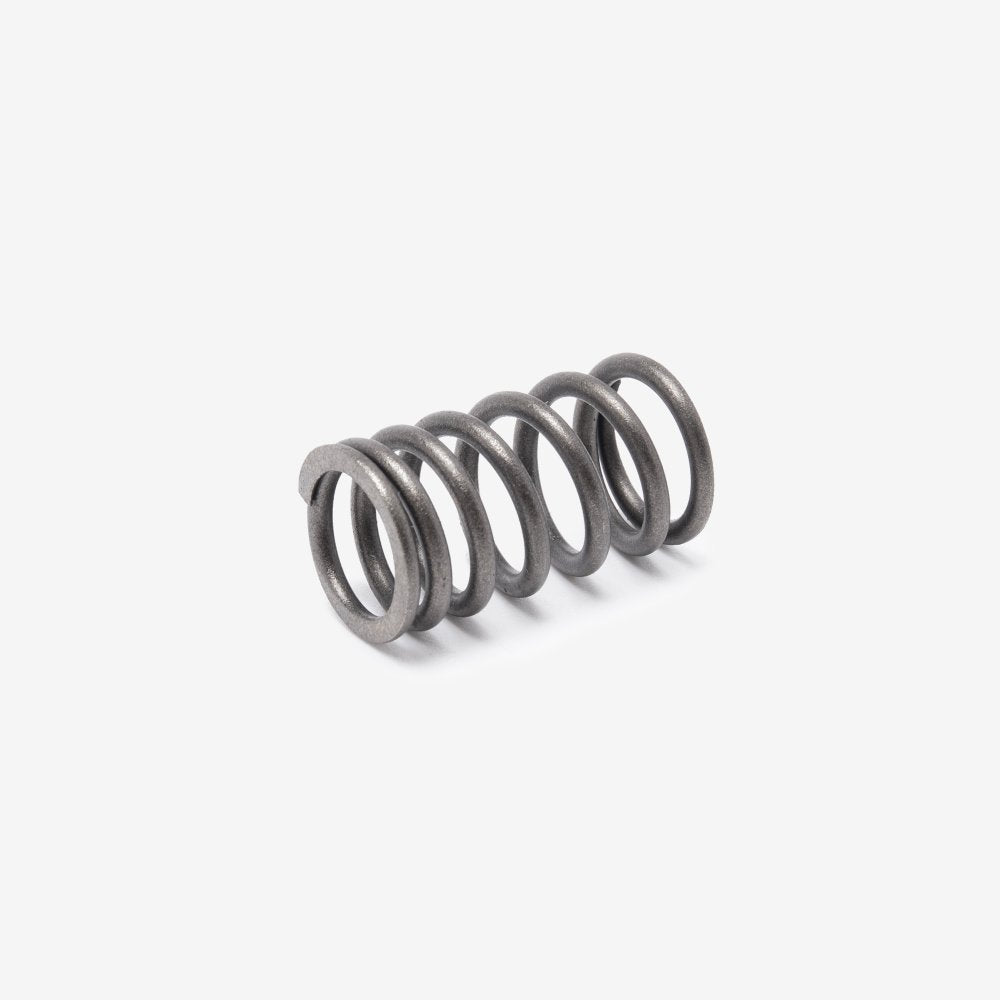 Valve Spring