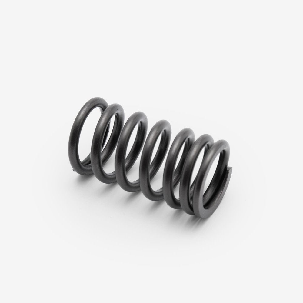 Valve Spring 2