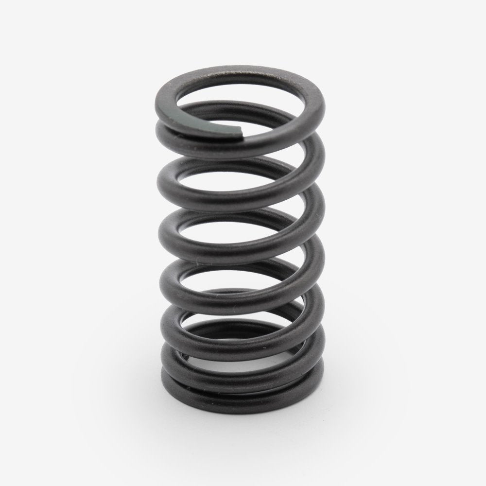Valve Spring 3