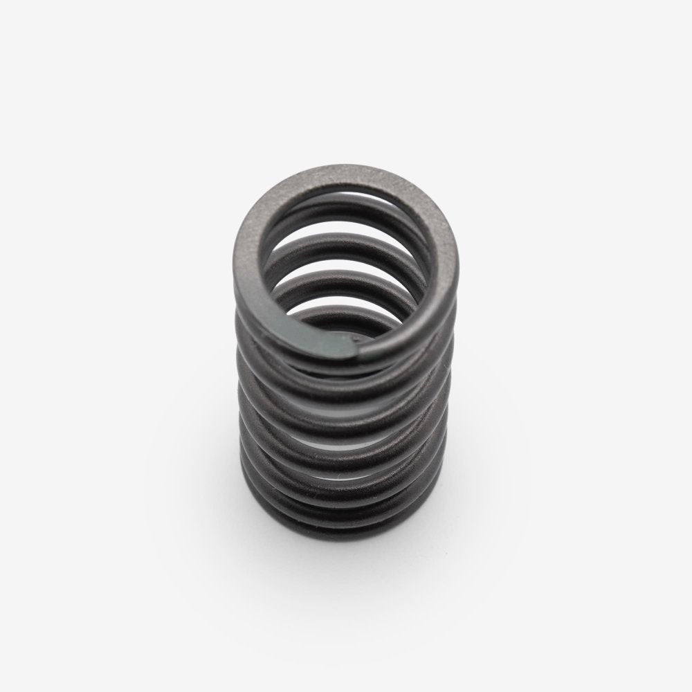Valve Spring 4