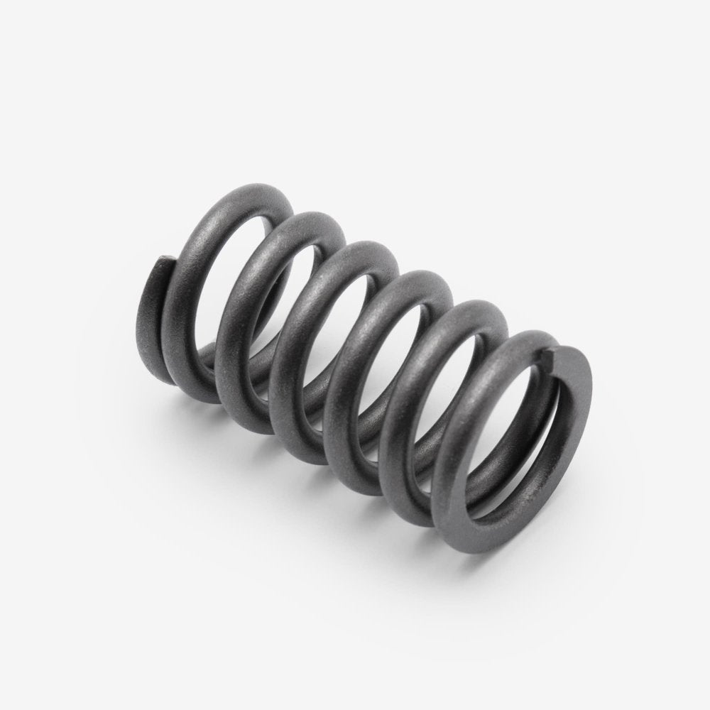 Valve Spring 2