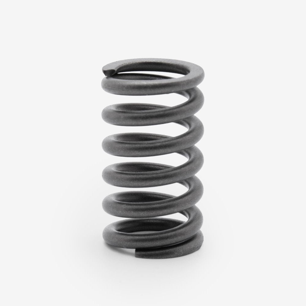 Valve Spring 3