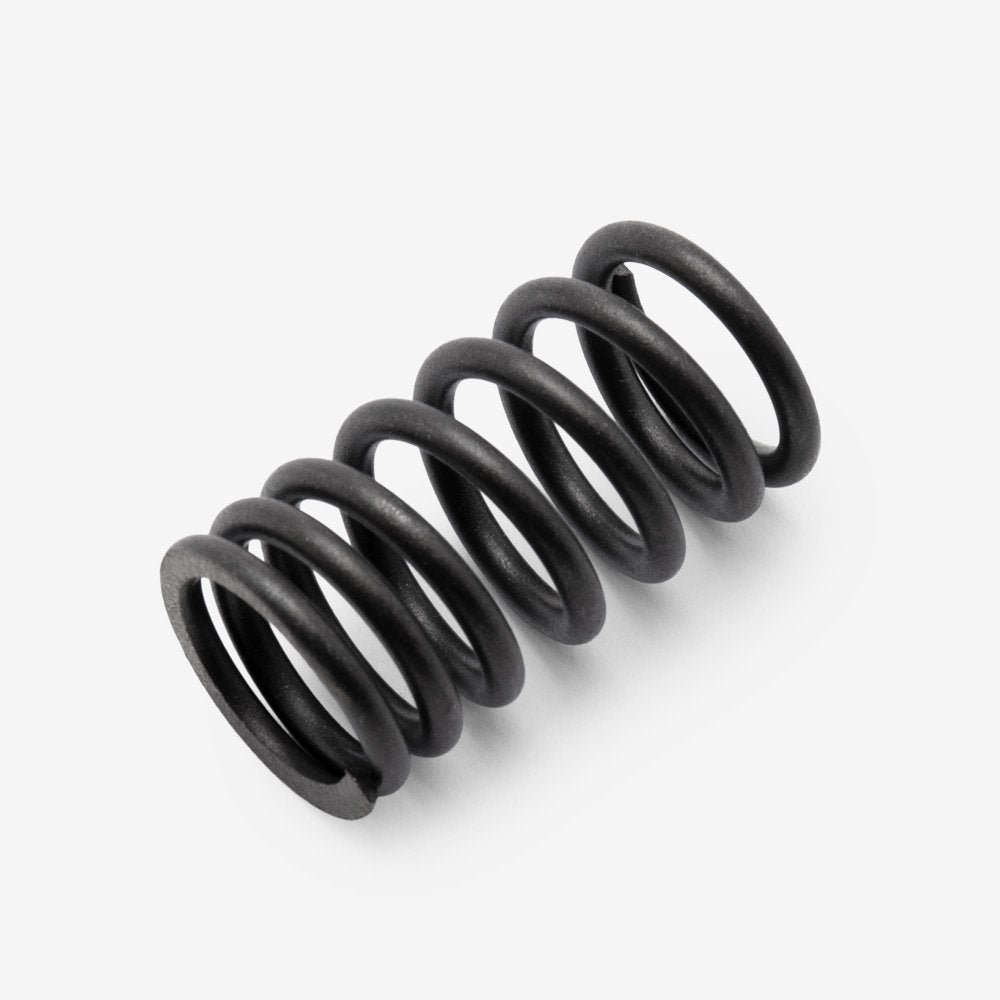 Valve Spring