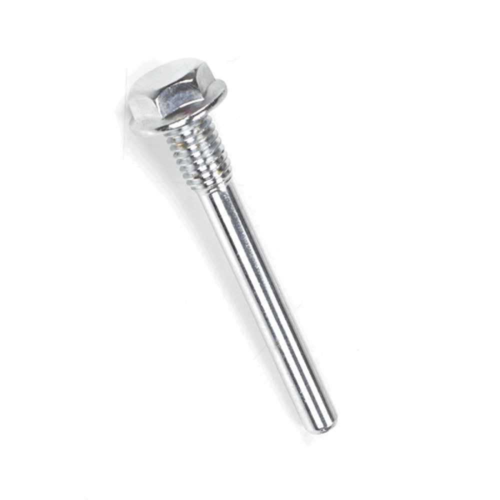 Cam Chain Guide Bolt