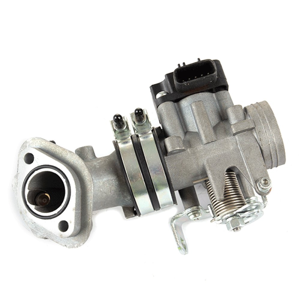 Throttle Body and Inlet Manifold 2