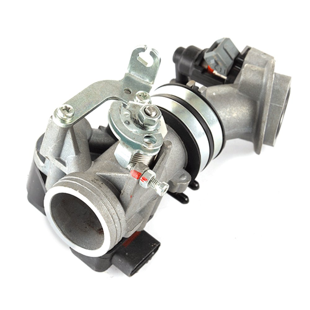 Throttle Body and Inlet Manifold