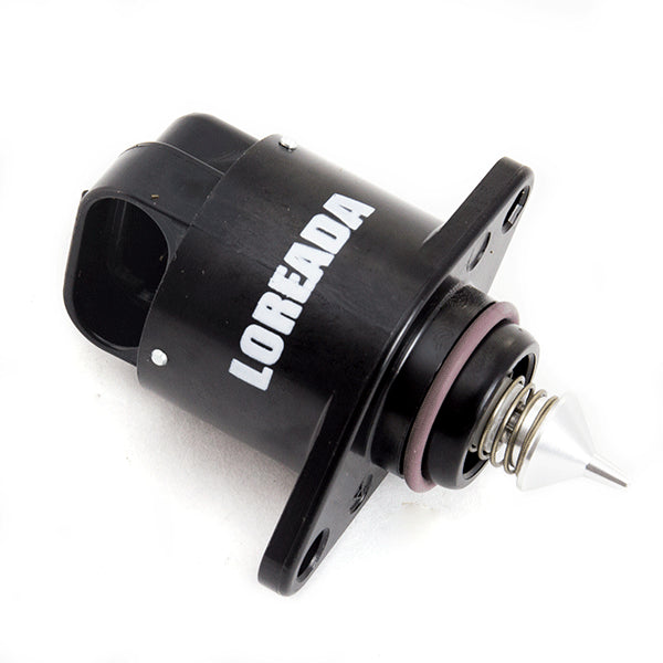 Idle Air Control Valve (IACV)