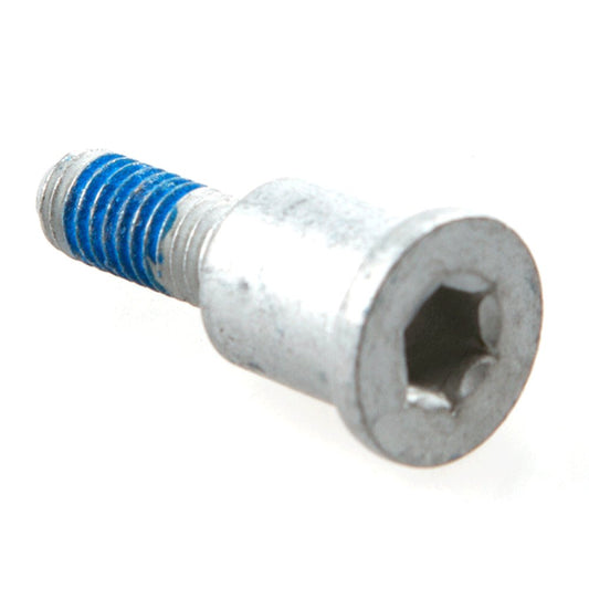 Bolt (Cam Chain Guide)