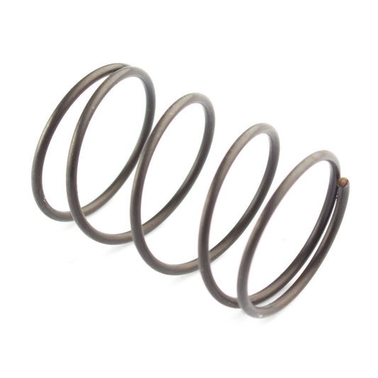 Oil Filter Strainer Spring