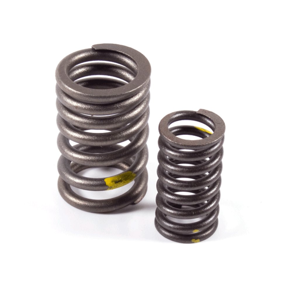 Valve Spring