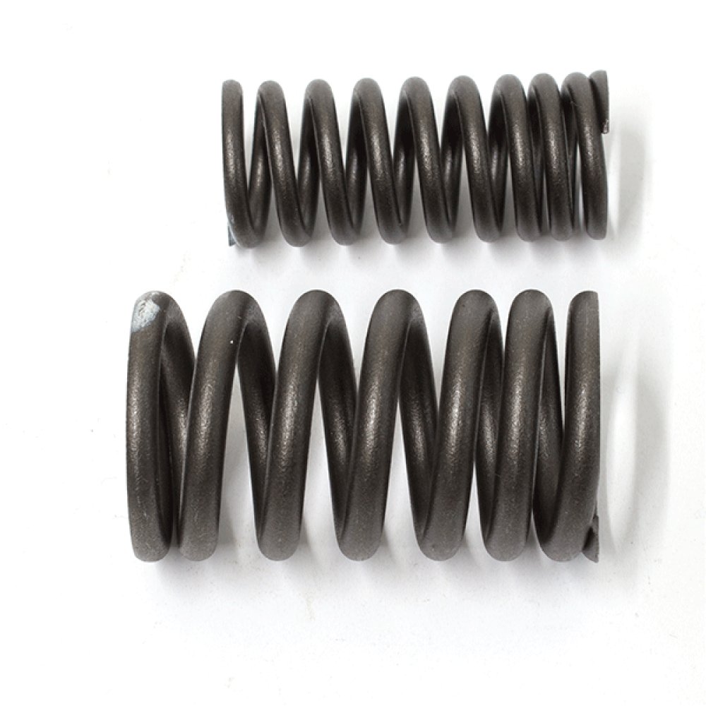 Valve Spring 2