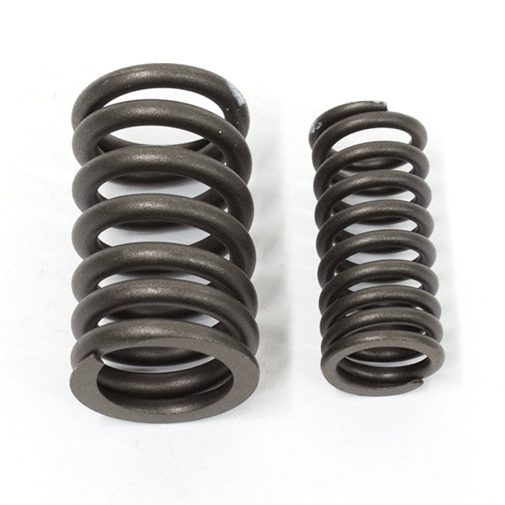 Valve Spring