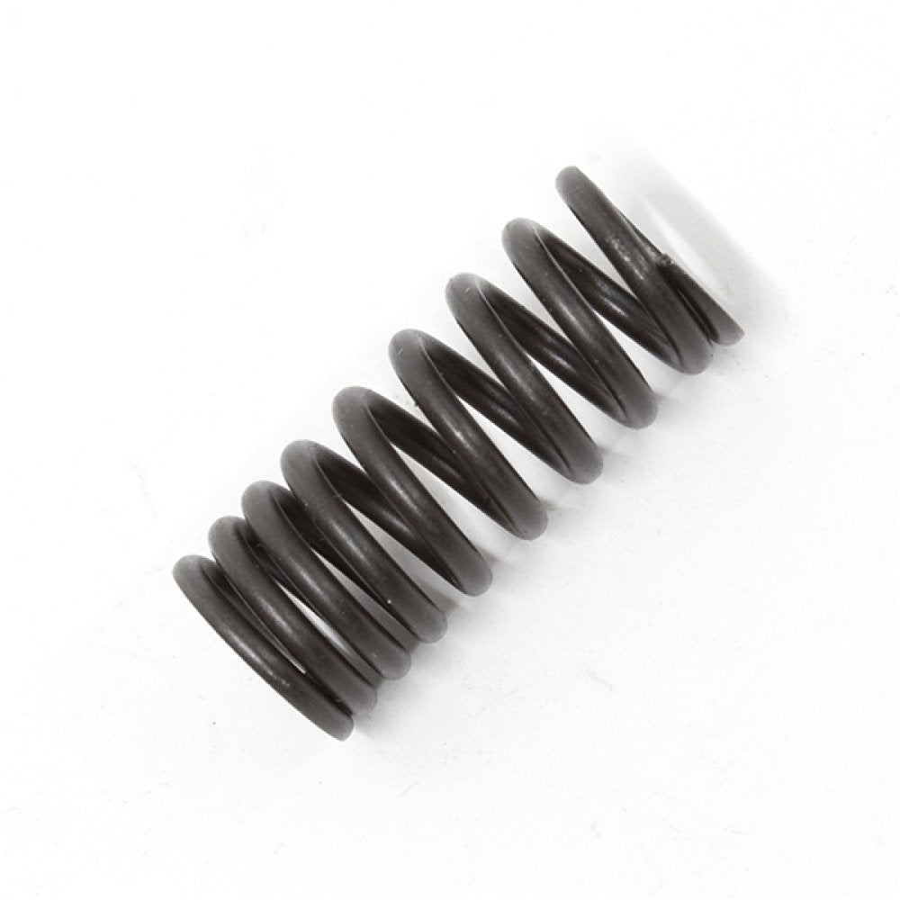 Valve Spring