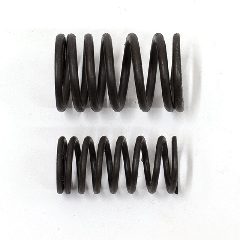 Valve Spring