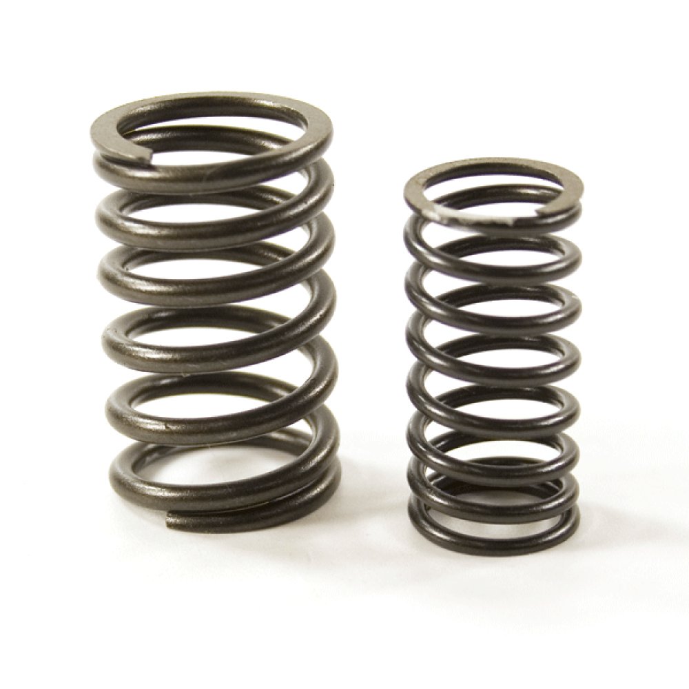 Valve Spring