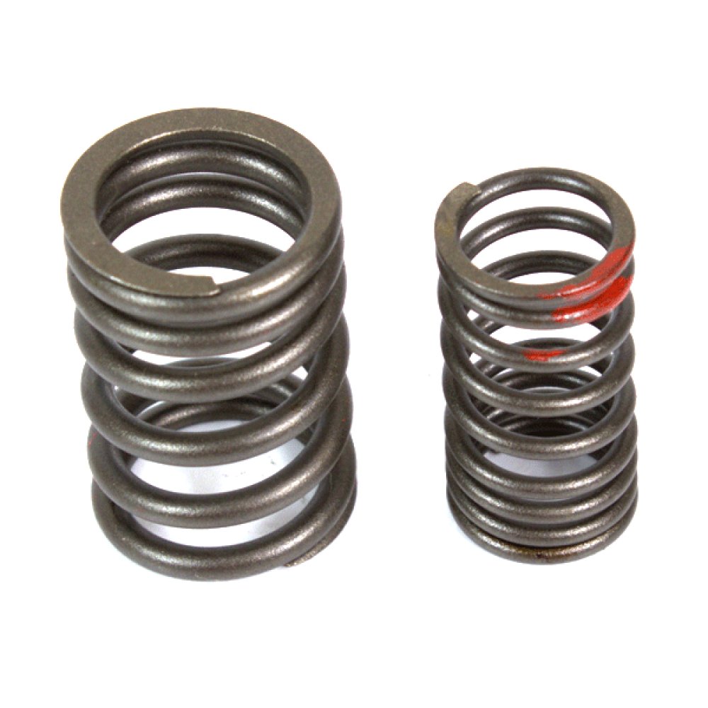 Valve Spring