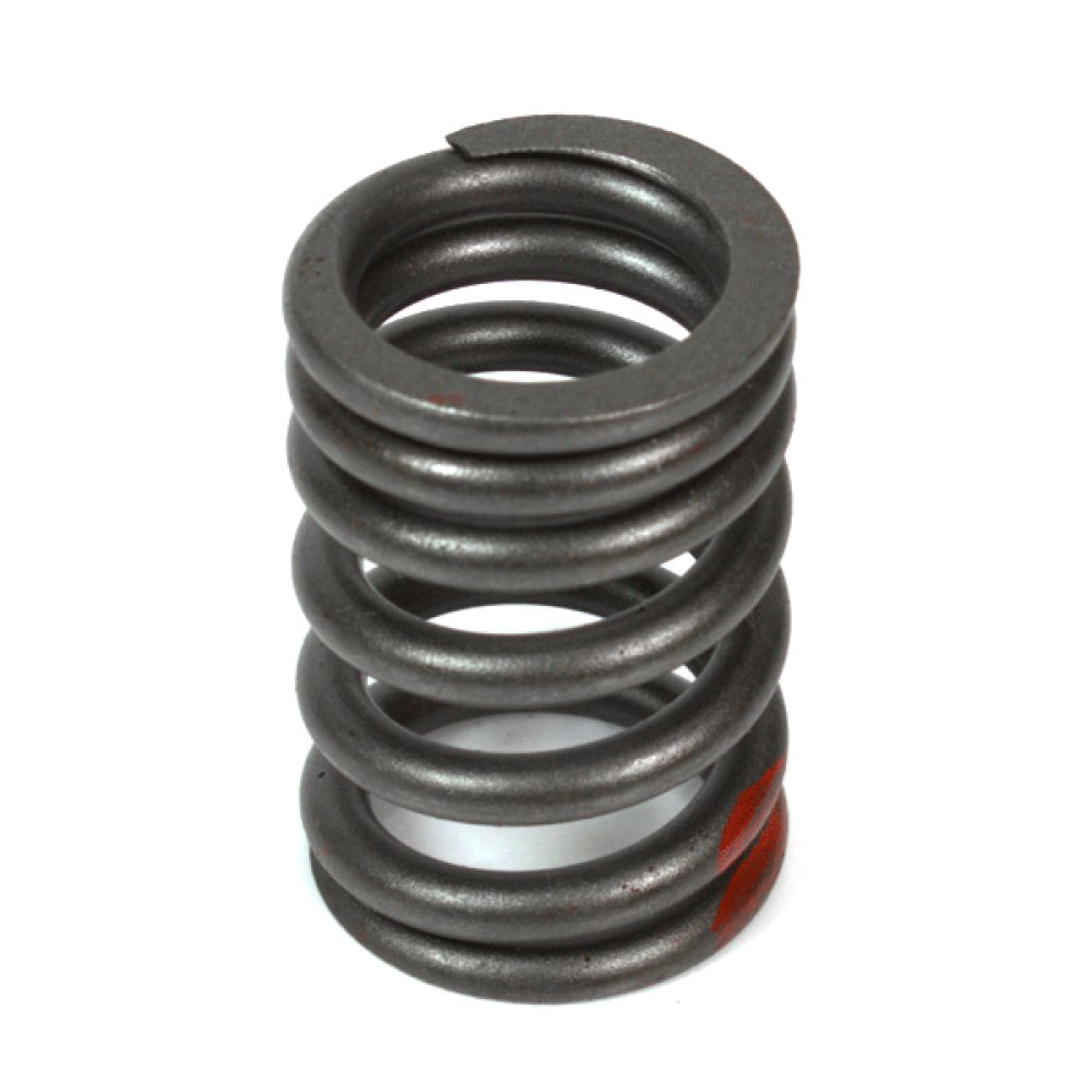 Valve Spring
